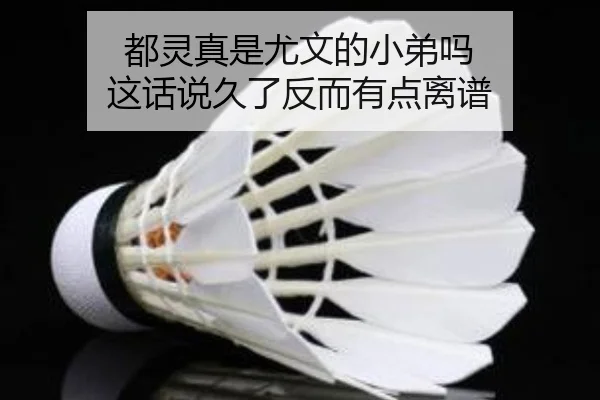 都灵真是尤文的小弟吗 这话说久了反而有点离谱