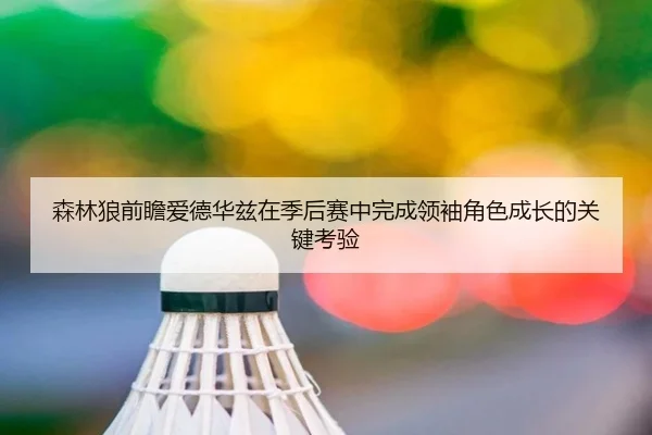 森林狼前瞻爱德华兹在季后赛中完成领袖角色成长的关键考验